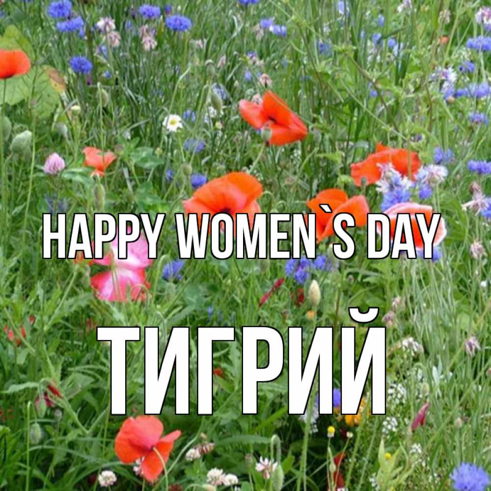 Greetings card с именем, Тигрий happy women`s day международный женский день 4 Greetings with text for free download 